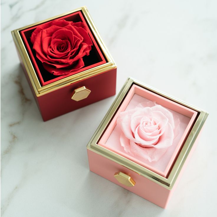 SET CADOU CUTIE + TRANDAFIR + COLIER ! REDUCERE