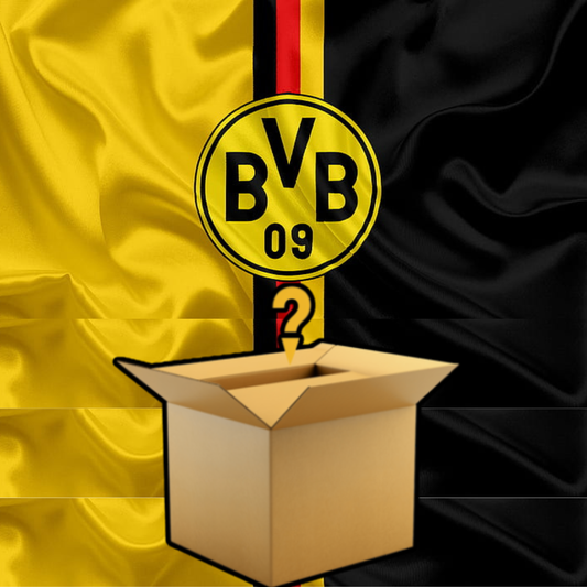 MYSTERY BOX BVB  ! REDUCERE